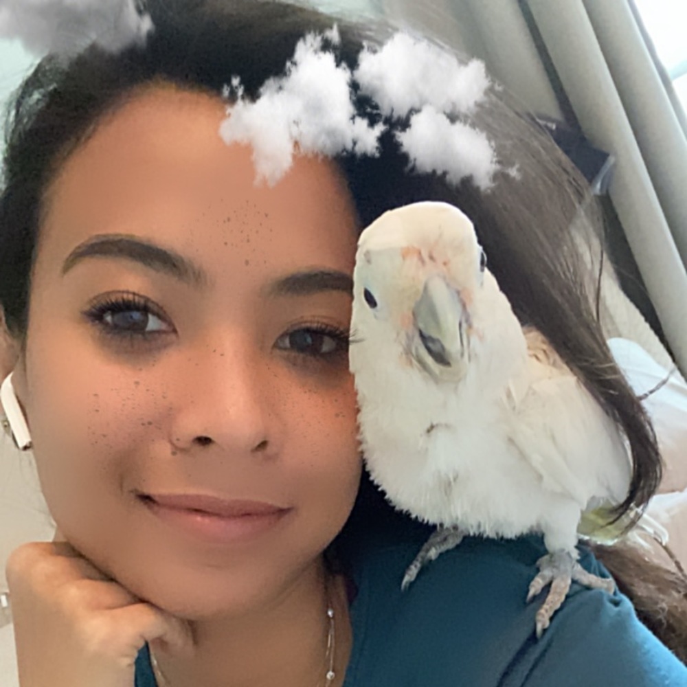 Meet your Posher, Isabella